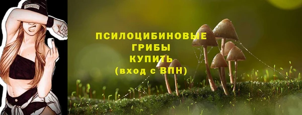 MDMA Каменногорск
