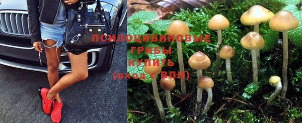MDMA Каменногорск