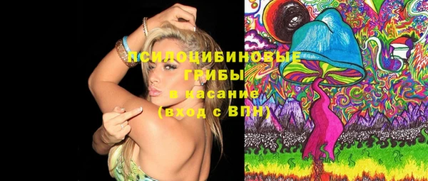 MDMA Каменногорск