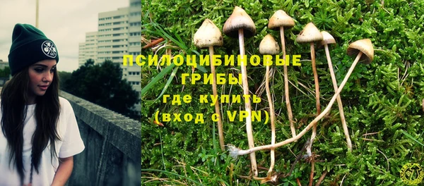 кокс Каменка